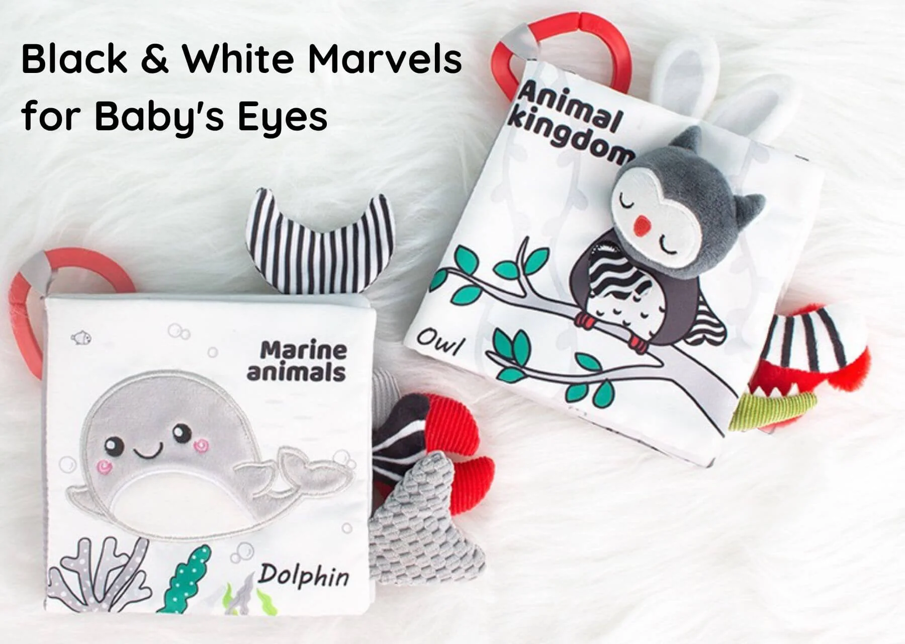 Animal Kingdom - Black&White Soft Tail Book For Babies - Image 6