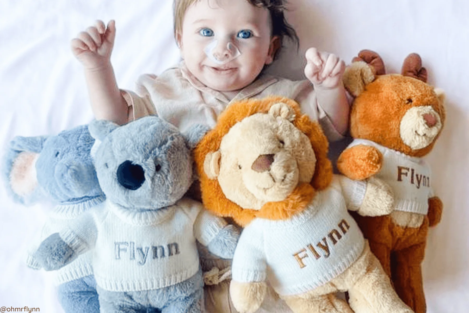 Dev Product - Image 18