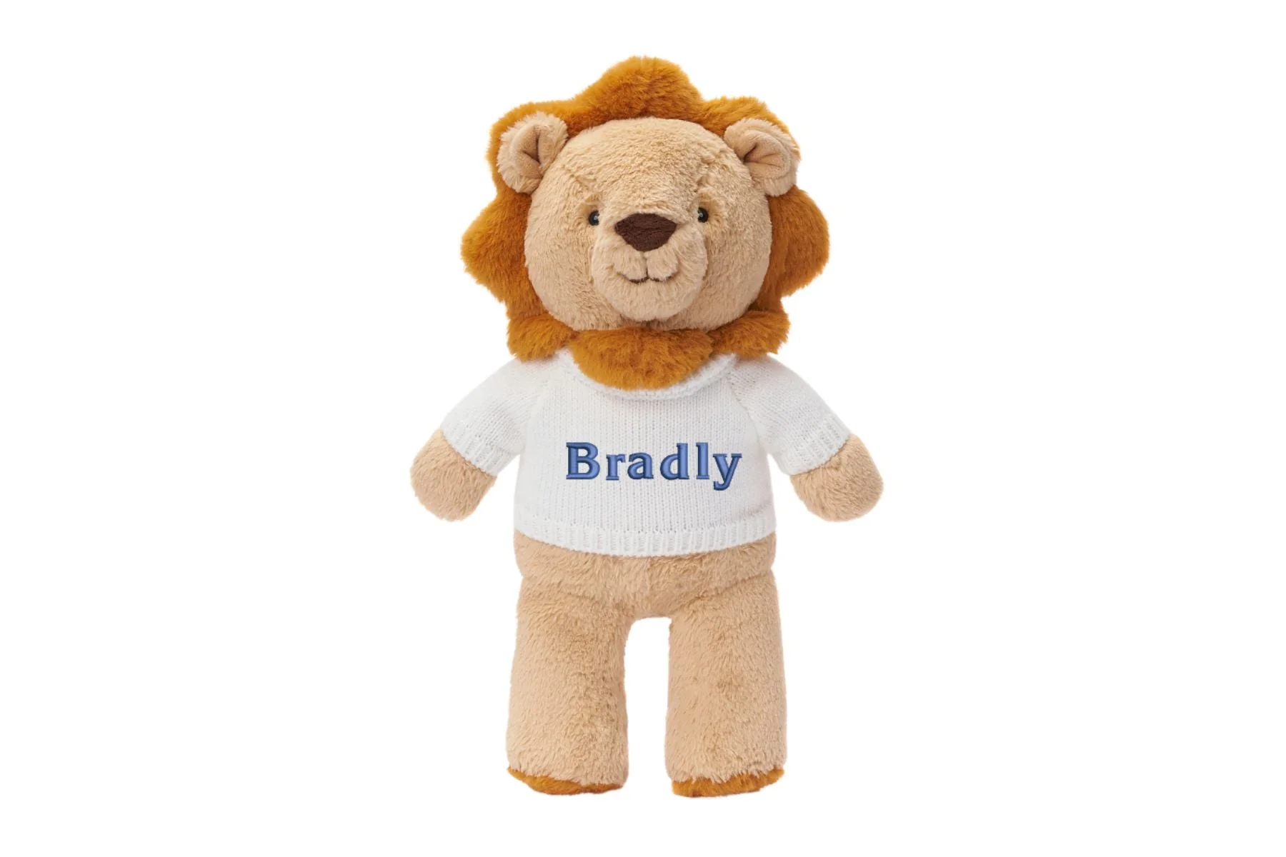 Dev Product - Image 19